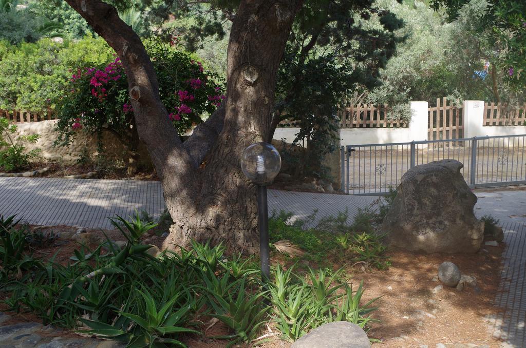 Villa Bonu Torre delle Stelle Dış mekan fotoğraf
