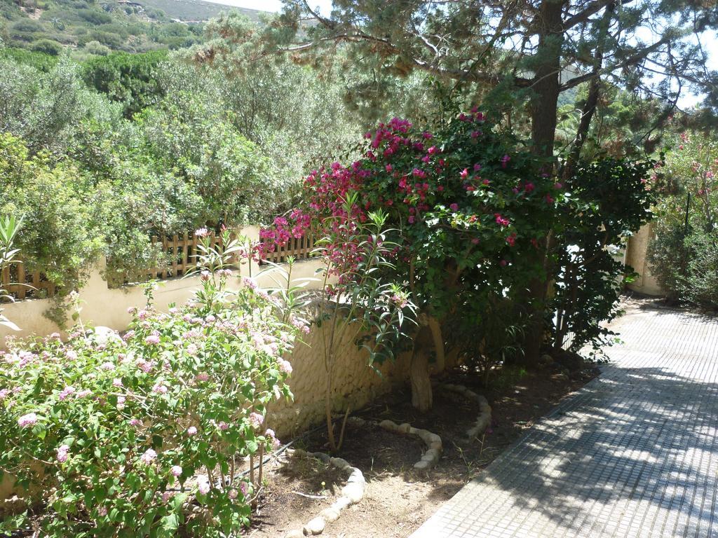 Villa Bonu Torre delle Stelle Dış mekan fotoğraf